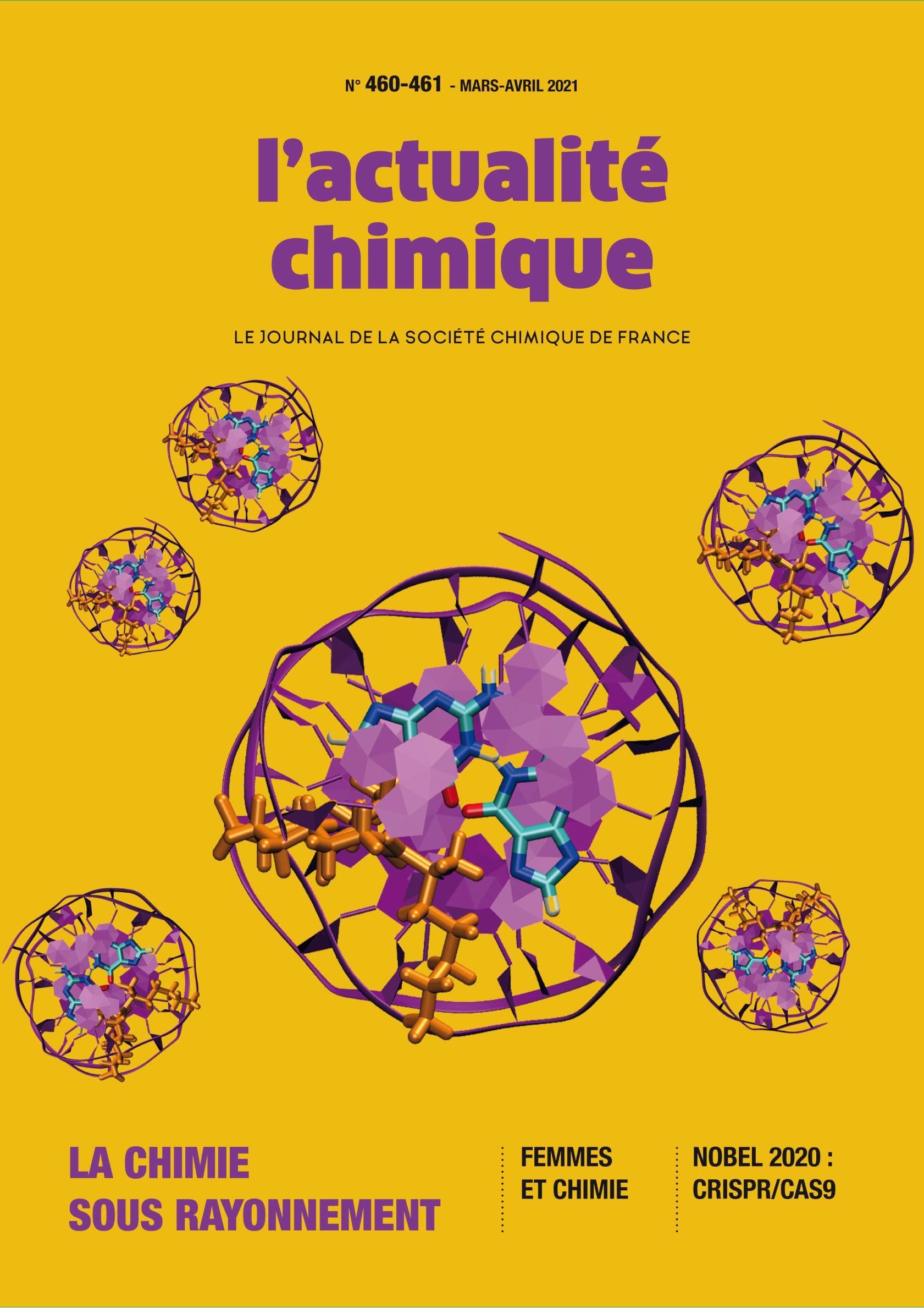 V1 Actu chimique 2021 460 461 couv