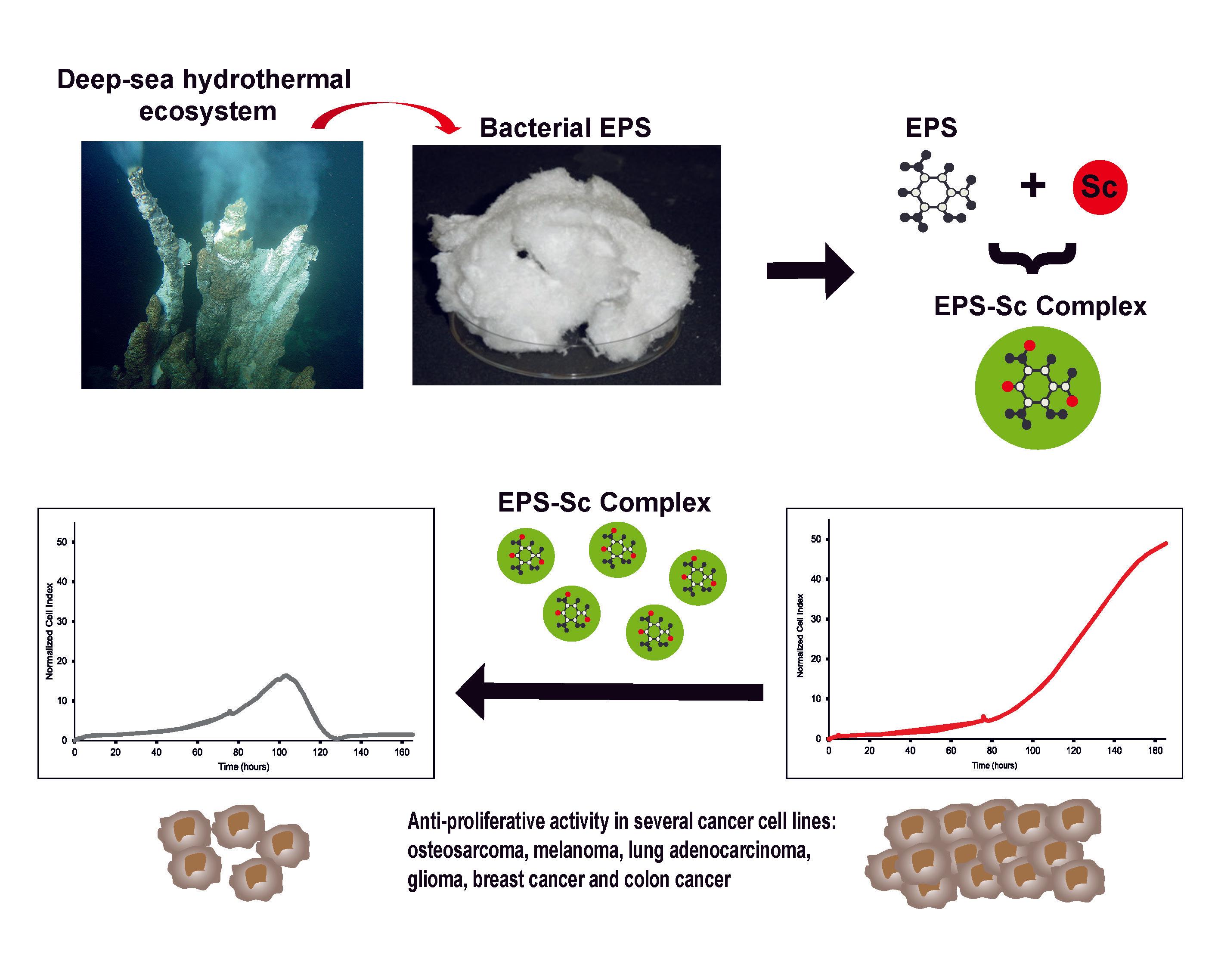 Santé 3 Graphical abstract Marine drugs vf